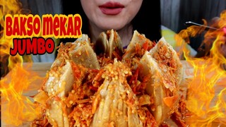 ASMR BAKSO BOGEM MEKAR JUMBO DI CABEIN | ASMR MUKBANG INDONESIA | EATING SOUNDS