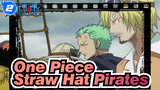 [One Piece] How Dare Can You Rob Straw Hat Pirates?_2