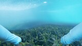 VLOG- Man + River- Explore underwater metal in deep waterweeds