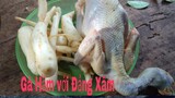 Món Ăn Bổ Dưỡng Gà Hầm Đẳng Xâm/Hoàng Việt Tây Bắc