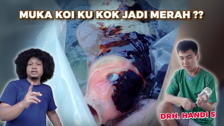 PANGGIL DOKTER KOI KE RUMAH | BABE FISH