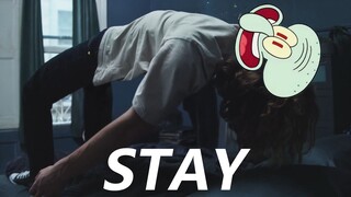 【章鱼哥】⚡️STAY⚡️丝滑演奏