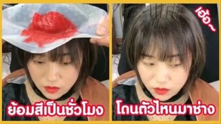 รวมคลิปตลกๆ : นี่โดนตัวไหนมาเนี่ย!!?