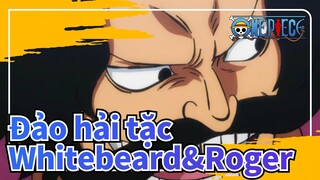 Đảo hải tặc 
Whitebeard&Roger