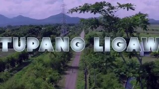 tupang ligaw