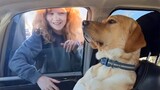 Don't touch me, judy! 🙂The Funniest Dog and Human Moments