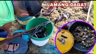 PANGHUHULI NG SAHANG, PUGITA AT IBA PA | #BUHAYPROBINSYA