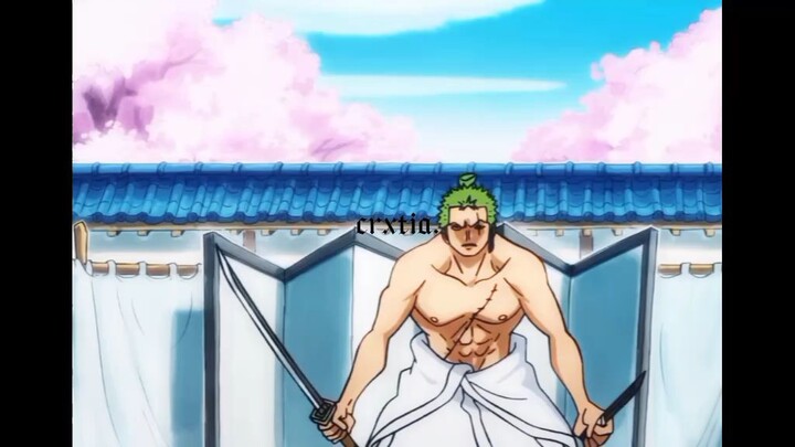 Zoro>>>>