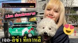 เจอ ลิซ่า ที่เกาหลีแล้ว ใจดีมาก / ภาพ Lisa Photobook เพิ่มเติม