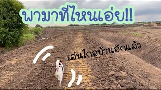 โลกของแสนดี ตอน พี่ๆพาหนูไปไหนก็ไม่รู้!!