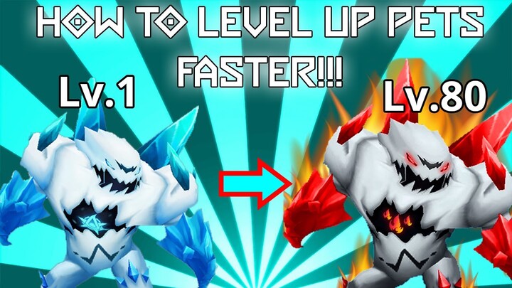 HOW TO LEVEL UP PETS FASTER || BLOCKMAN GO || TRAINERS ARENA