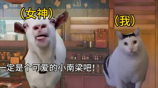 关于我声音过于奶气，喜欢的女生以为我是小南梁这件事【猫meme】