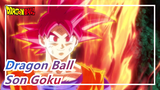 [Dragon Ball] Son Goku, Super Saiyan to Perfected Ultra Instinct