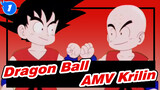 Dragon Ball / Hype / Memory | Krillin, I will give my life to avenge you_1