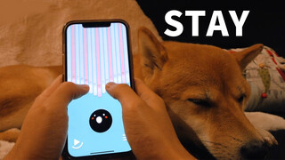 [Music]Playing <Stay> with a thumb piano app on my phone