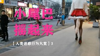 【人类女装行为大赏】3 小尾巴摇起来