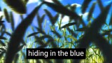 hiding in the blue