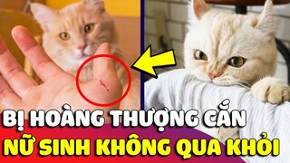 Bị 'HOÀNG THƯỢNG' cào cắn vào tay, nữ sinh 16 Tuổi ở Đắk Lắk 'RA ĐI' mãi mãi 😥 Gâu Đần