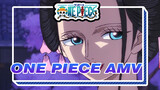 You Only Like Her for Her Body! | One Piece AMV