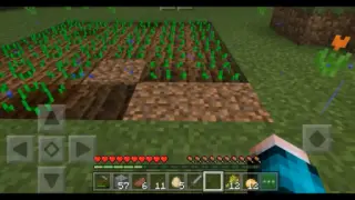 Minecraft Pe - Sinh tồn tập 9 _ Làm người nông dân _ VH Boy