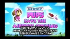 paw patrol Musim 11 Episode 6 Sub indonesia