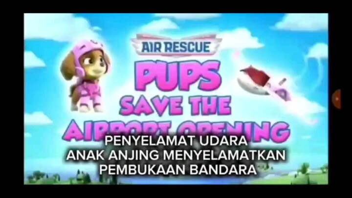 paw patrol Musim 11 Episode 6 Sub indonesia