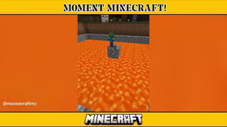 MINECRAFT - MOMENT YANG TERJADI DIMINECARFT!!! KOMPILASI MINECRAFT 28