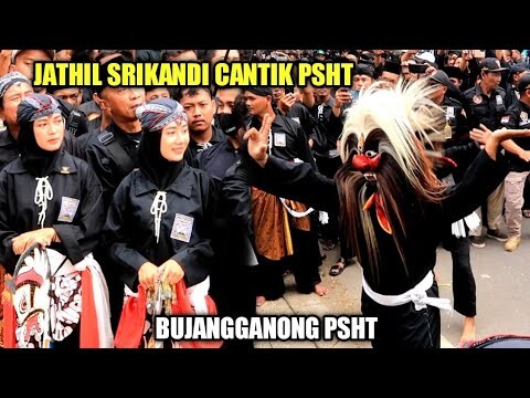 SRIKANDI CANTIK TERPESONA ATRAKSI SALTO BUJANGGANONG PSHT