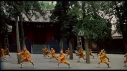 shaolin kids