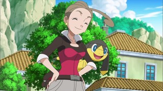 Pokemon S17E23