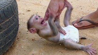 little boy Maki​ Refuse to come down from Mom's hand​ Every time Mom takes him out to play outside