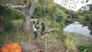 Law of the Jungle in Wild New Zealand Part 2 [2] ENG SUB