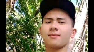 tiktok the picture picture