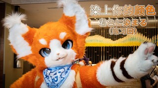 【Fursuit】兽装舞蹈-染上你的颜色（君色に染まる）练习回