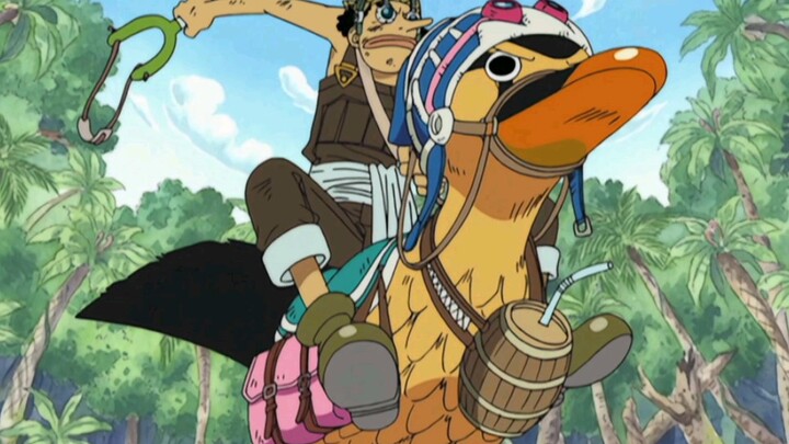 Bebek ini sangat cocok untuk Usopp