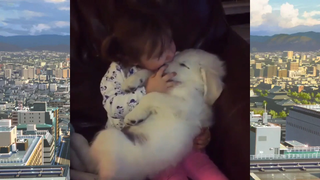 CUTE PET น่ารัก&ตลก 02