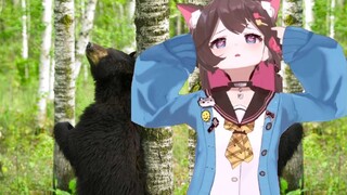 【East Airi】A bear rubbing against a tree