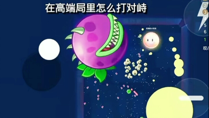 手法诠释一切
