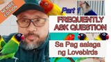 FREQUENTLY ASKED QUESTION Sa Pag aalaga ng Lovebirds, FAQ,s Part 1