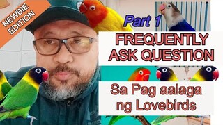 FREQUENTLY ASKED QUESTION Sa Pag aalaga ng Lovebirds, FAQ,s Part 1