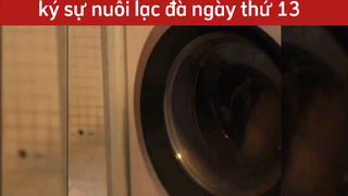 con quỷ sứ 🤣🤣 #haihuoc