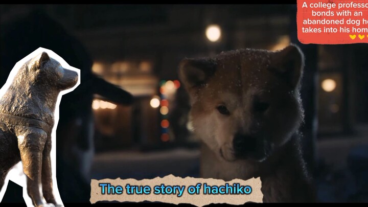 Hachiko a loyal dog - I can't try to not cry 😢