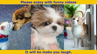 So funny animals 2022