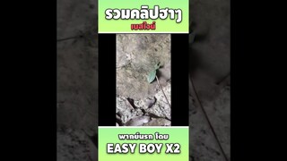 รวมคลิปฮา พากย์นรก #short #easyboy #คลิปฮา #เบสไวน์