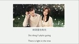 Li Run Qi (李润祺) - Tree hole with light 树洞有光  ( Shù dòng yǒu guāng ) Lyrics | OST Lie To Love (良言写意)