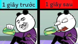 GẤU HÀI HƯỚC: Tình nghĩa anh em kí túc xá