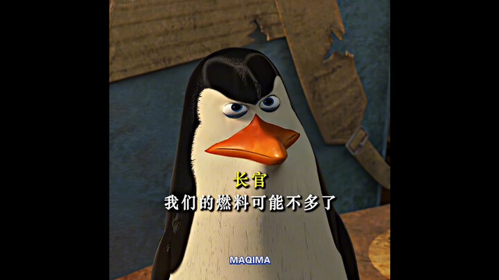 谁说企鹅不能飞