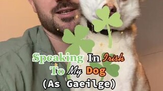 Maith an buachaill! How did he do?!? ☘️ awakenireland learnontiktok