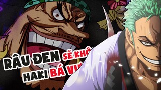 Tứ Hoàng RÂU ĐEN & ZORO Có Sở Hữu Haki Bá Vương !? [One Piece Chapter 991+]