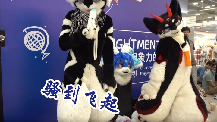 【FURRY】果然毛毛骚起来就没人类啥事了x（小剧场）